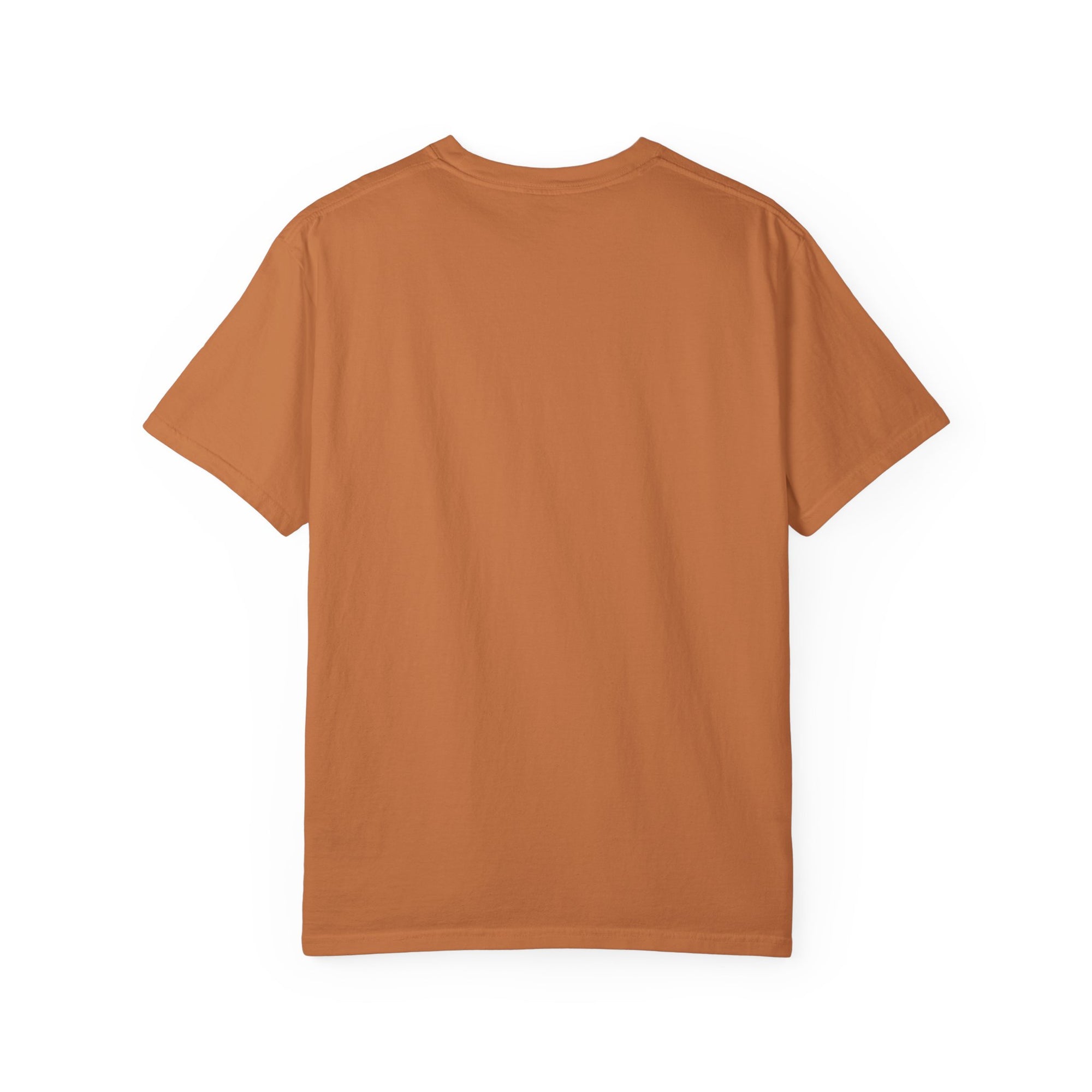 Vintage Aircraft Club T-Shirt | Unisex Garment-Dyed Tee, Aviation Lover Gift, Retro Airplane Shirt, Sky Rider Apparel, Air Show Fashion