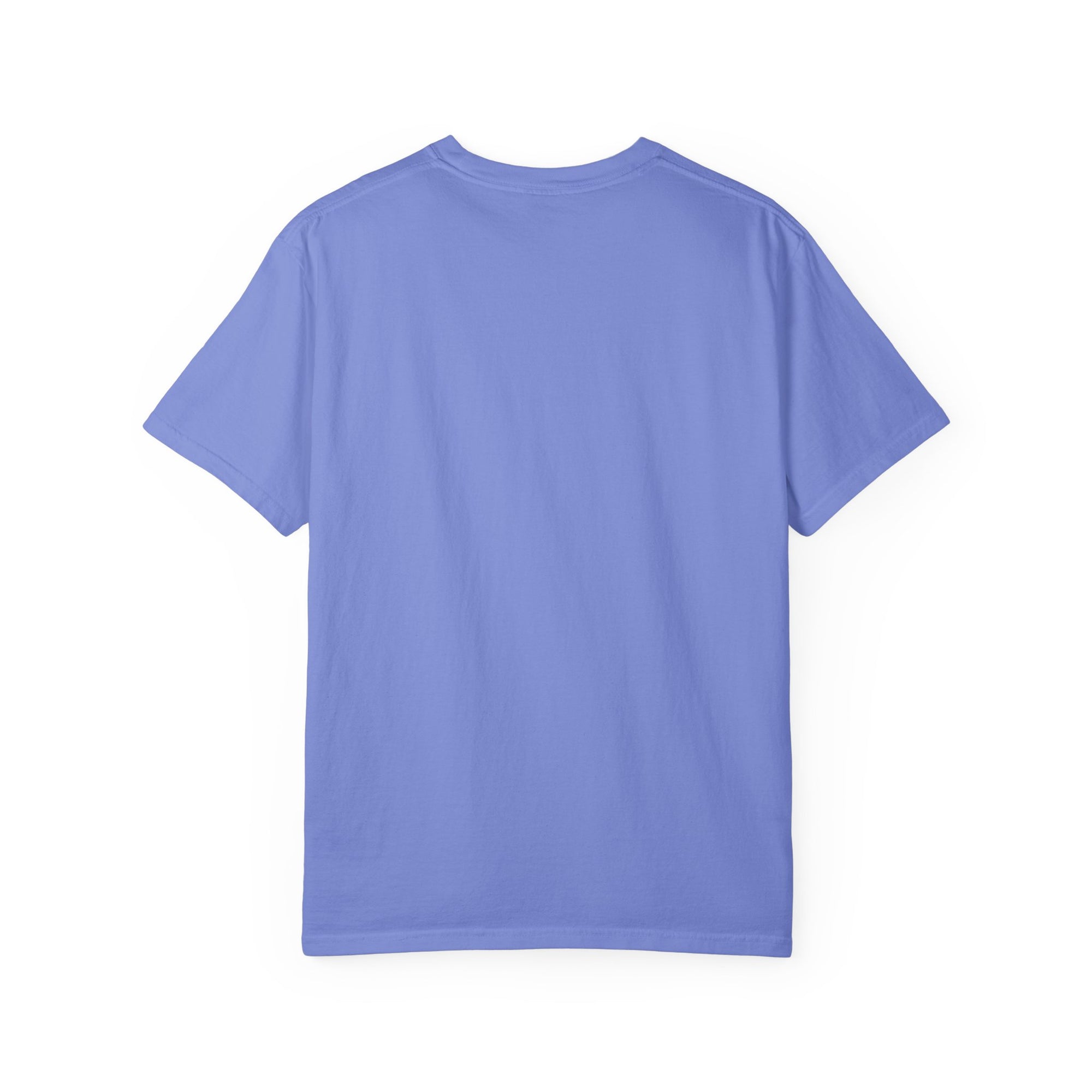 Unisex Garment-Dyed T-shirt with BRB Definition