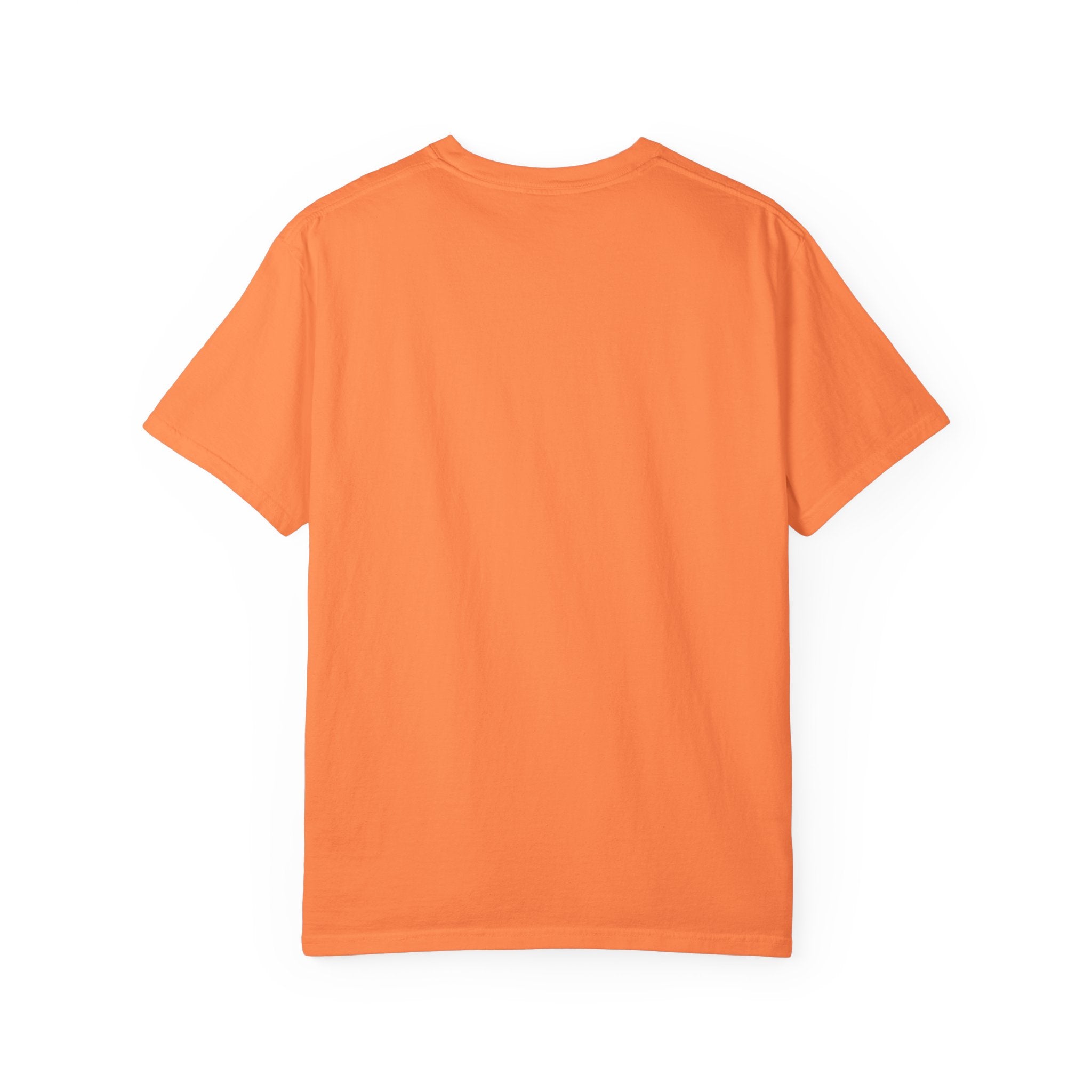 Unisex Garment-Dyed T-shirt with BRB Definition